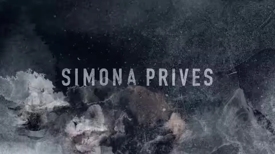 Simona Prives artist portfolio website